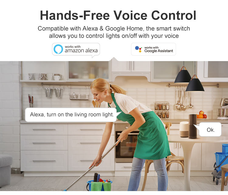 DUALR2 voice control