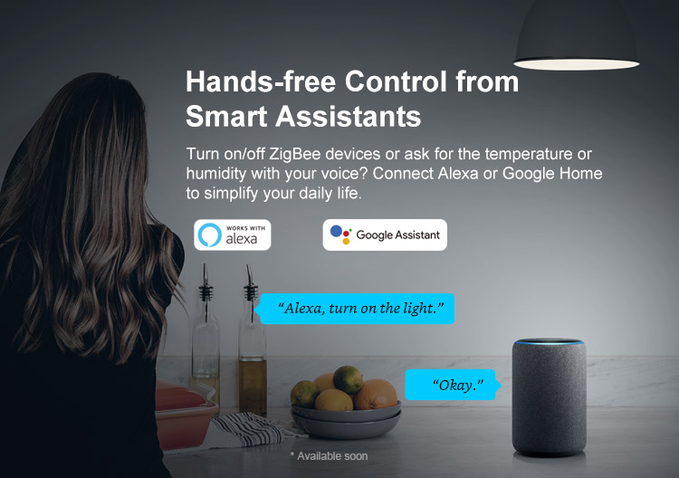 ZBBridge voice control